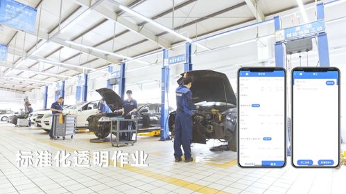 技術(shù)咨詢 一季度超5000家汽修店轉(zhuǎn)讓，為何大家正加速逃離汽車服務(wù)市場？